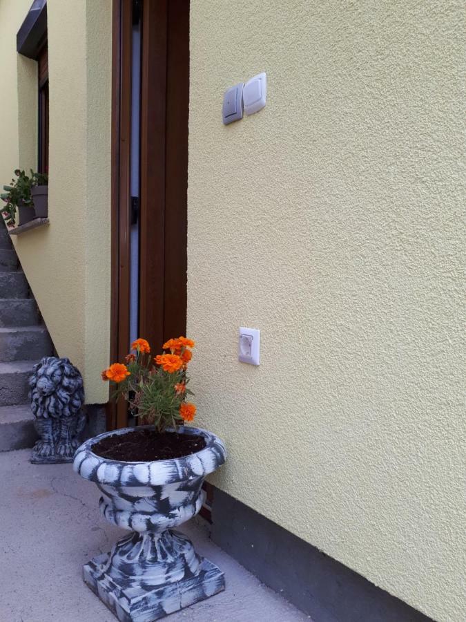 Apartment Dujica Сень Екстер'єр фото